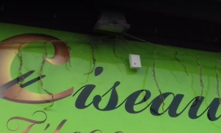 Coiffeur Les Ciseaux de Steph Buchy