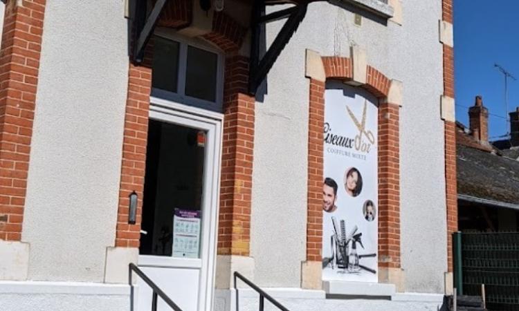 Coiffeur Ciseaux D'or Briarres-sur-essonne