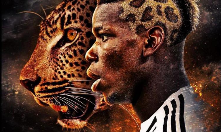 56a77087864ca4.04102588-paul-pogba-coiffure.jpg