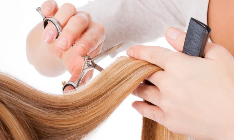 Don cheveux pour malades du cancer