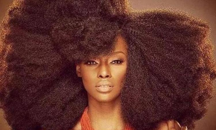 idees coiffures cheveux crepus