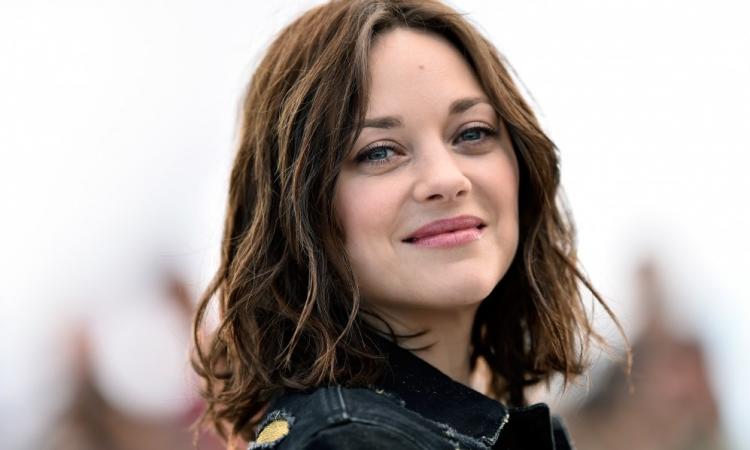accessoire cheveux marion cotillard