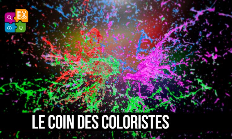 Le coin des coloristes par unboncoiffeur