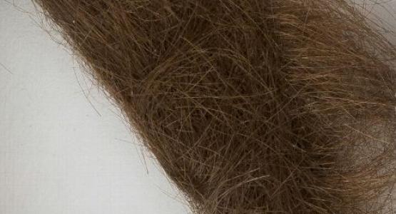La mèche de cheveux de John Lennon