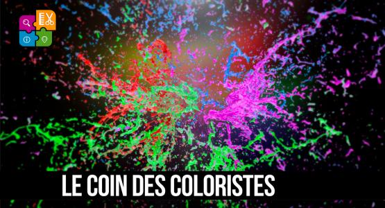 Le coin des coloristes par unboncoiffeur