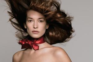 coiffure fetes de noel