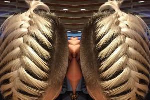 Man braid tresse homme