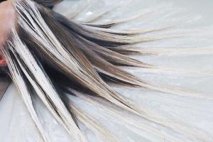 coloration fluid hair painting