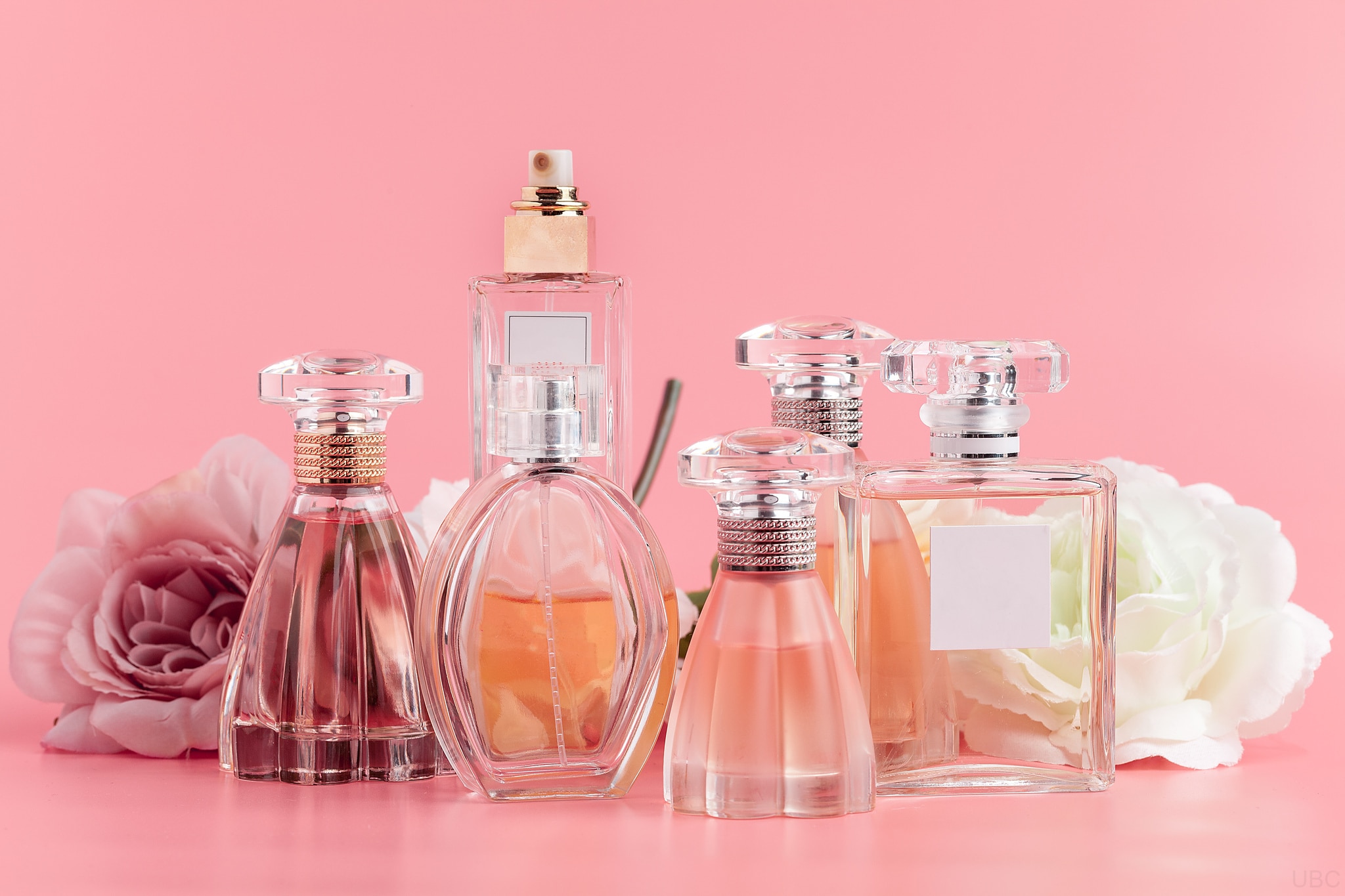Une sélection de parfums sur une étagère